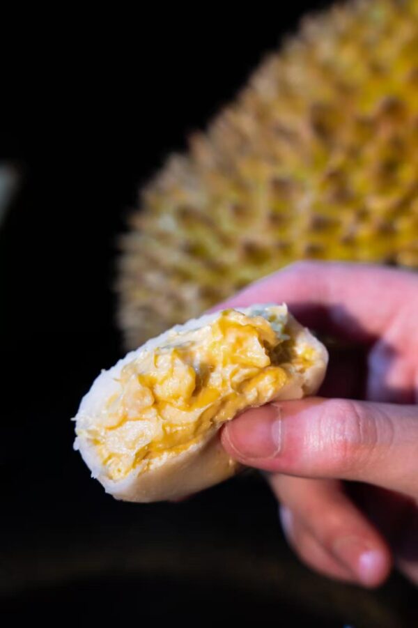 36D Durian 正宗馬來西亞貓山王榴槤冰皮月餅（六個裝）(預售) - Image 2