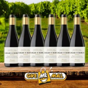 Vina Arganza Mencia "Lagar de Robla" 2021 (Wooden Case)