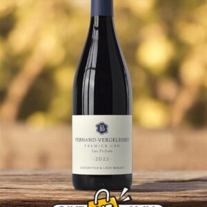 Domaine Clémentine & Léon Bordet Pernand-Vergelesses 1er Cru Les Fichots 2023