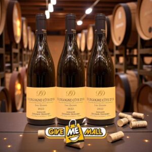Domaine Sylvain Dussort Bourgogne Côte d'Or "2023 * 3 BOTTLE