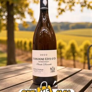 Domaine Buisson-Charles Bourgogne Côte d'Or "Haute Densité" Chardonnay 2022